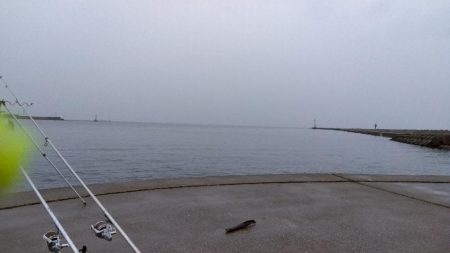 苅屋海岸の投げ釣り