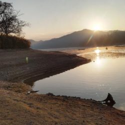 今年の初釣りワカサギ
