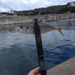 和歌山雑賀崎へ