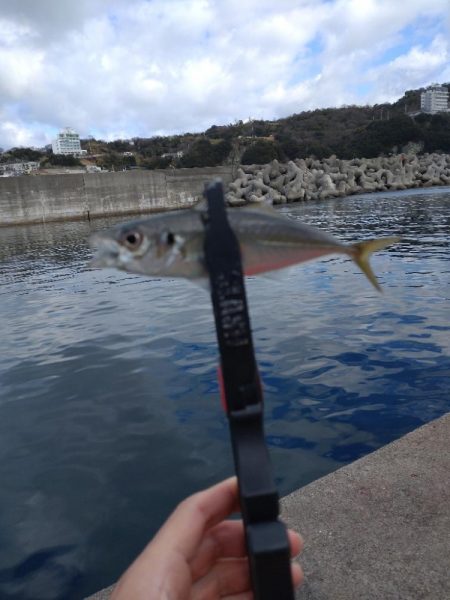 和歌山雑賀崎へ