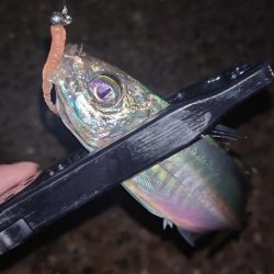 やっぱり納得がいかないよね。