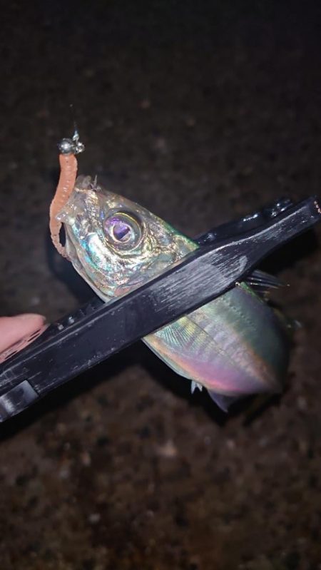 やっぱり納得がいかないよね。