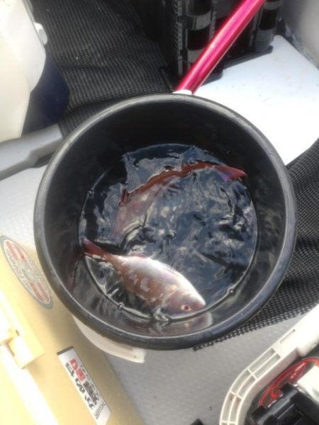 今年最初の船釣りウマズラリベンジ便！！