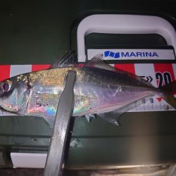 ライトゲーム🎣