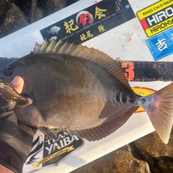 和歌山県串本出雲（谷口渡船）でグレ釣り