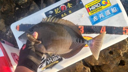 和歌山県串本出雲（谷口渡船）でグレ釣り