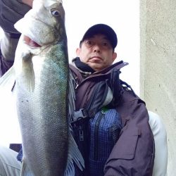 プチsalt water game