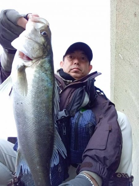 プチsalt water game