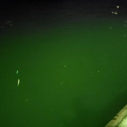 納まらなかったので