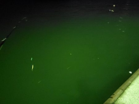 納まらなかったので