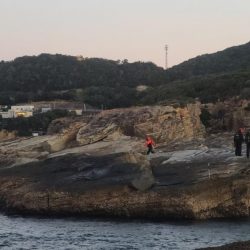 和歌山市江(吉丸渡船)でグレ釣り