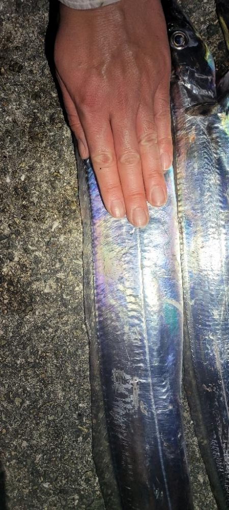 何かちょっと黄色い？？