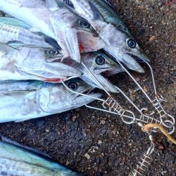 久しぶりのいい日だった