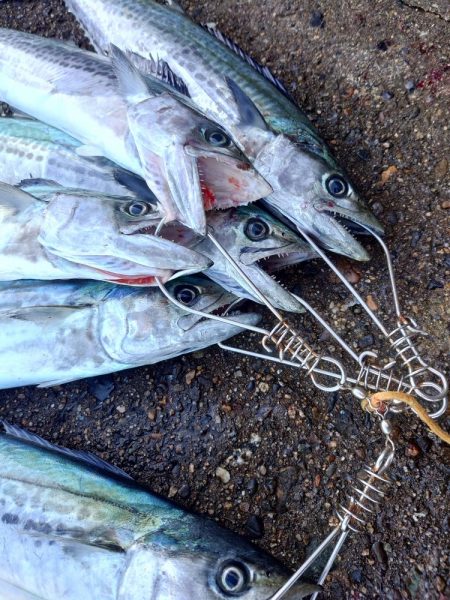 久しぶりのいい日だった