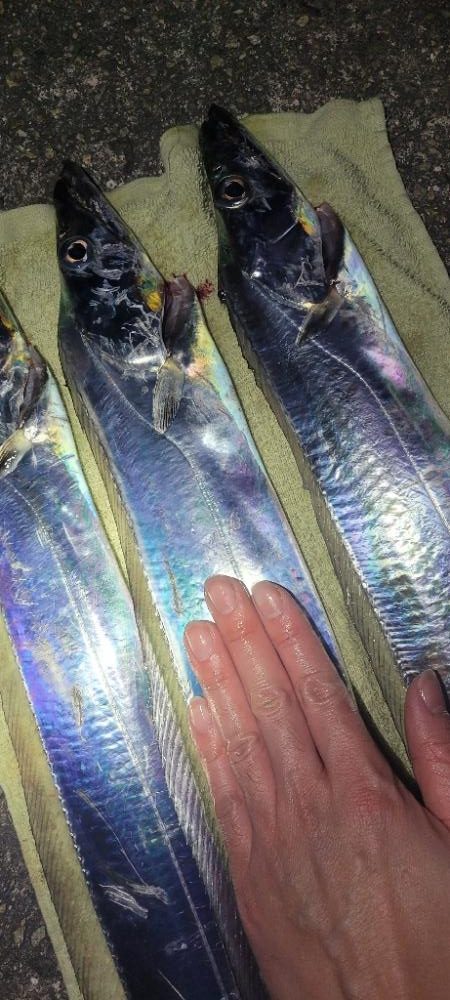 ふぐちゃんの猛攻から逃れて