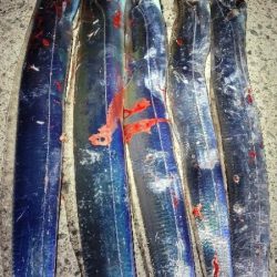 アタリはあるも散発的