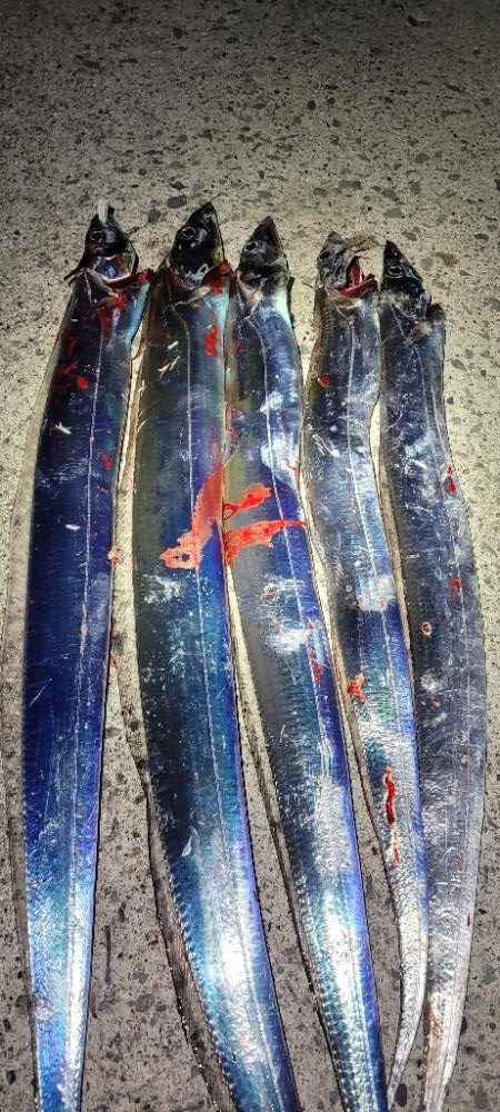 アタリはあるも散発的