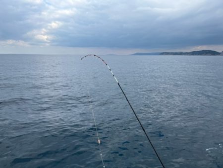 初の長崎カワハギは激シブでした