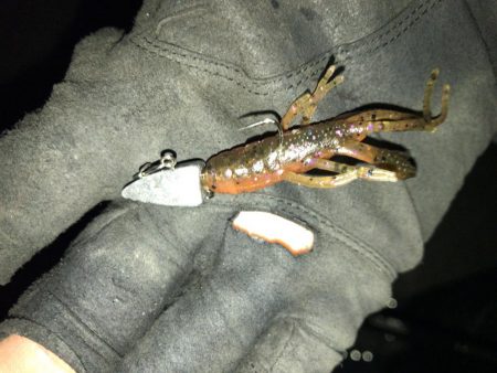 ワインドでマチヌゲット