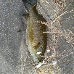 ハードアラバマで１本