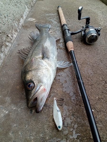 早朝のプチsalt water game&…