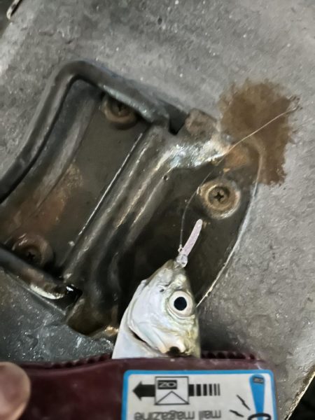 横風が強すぎる中