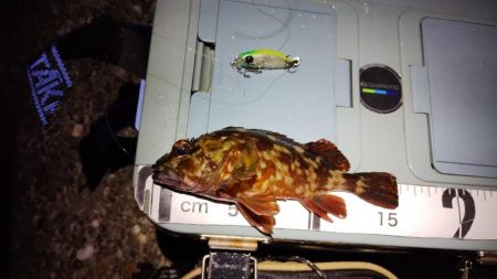 なんちゃってワーム