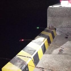 爆風がお休みな淡路島西側