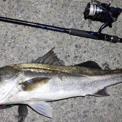 癒やしのアカハタからの一撃