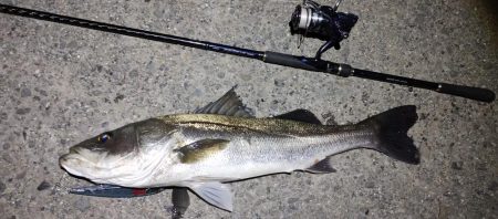 癒やしのアカハタからの一撃