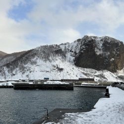 積丹の漁港でホッケ上がる!!道内ホッケが本格化!?