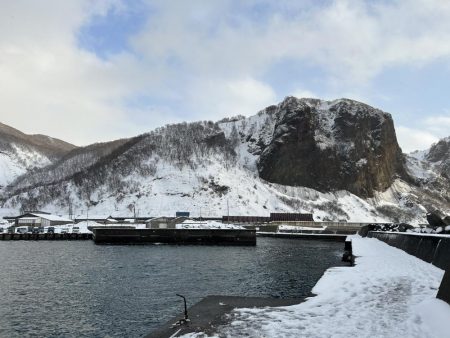 積丹の漁港でホッケ上がる!!道内ホッケが本格化!?