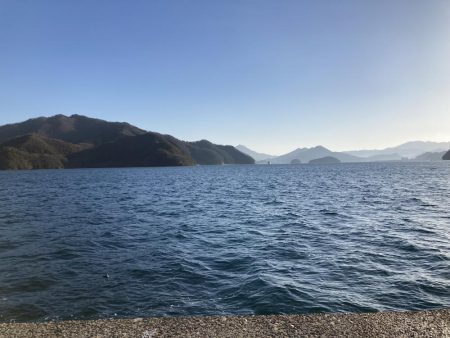 初釣りはサゴシ