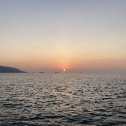 釣り納めはグレ狙い