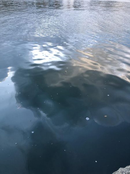 爆風の極寒アジング