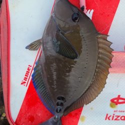 和歌山市江(吉丸渡船)で磯フカセ