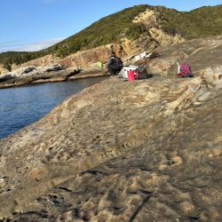 和歌山市江（吉丸渡船）でグレ釣り