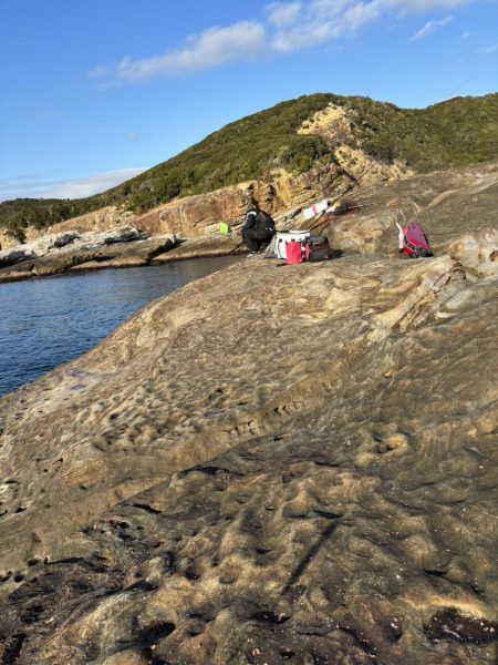 和歌山市江（吉丸渡船）でグレ釣り