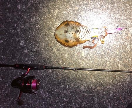 【2024年初イカ！】徳島遠征