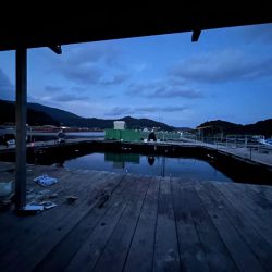 あなたに逢い鯛釣り堀　ナイター貸切