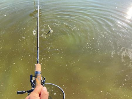 2時間かめプーで釣り&#x1f3a3;