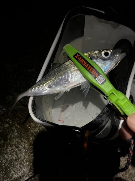 爆風小雨アジング