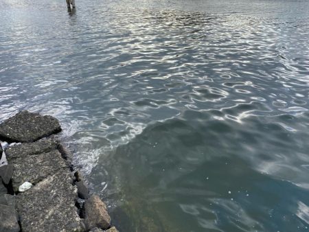 今日も今日とて