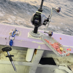 ショウサイフグ/カットウ釣り