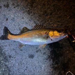 風が強くなる前に