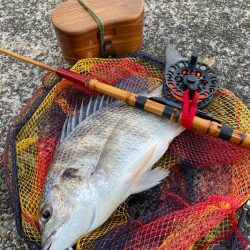 ヘチってきました