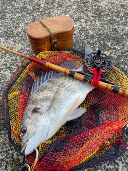 ヘチってきました