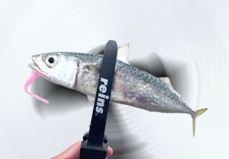 初場所爆風アジング！