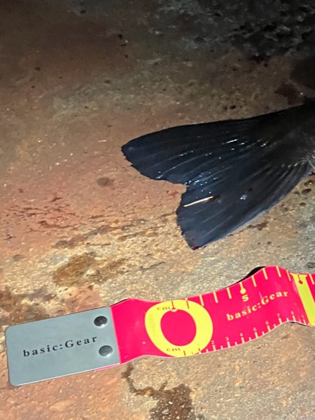 遂にキタ!尺だ!!