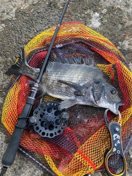 ヘチってきました